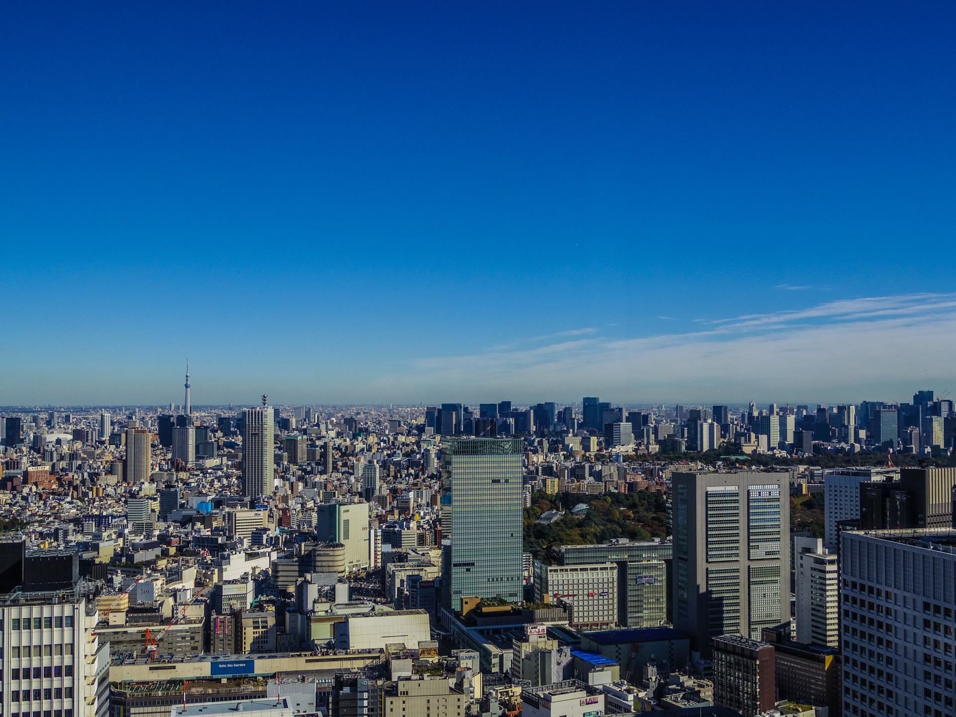 2024年1月／現場で感じる収益不動産市況